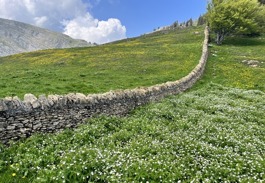 23-05-26 13-28-44 5702